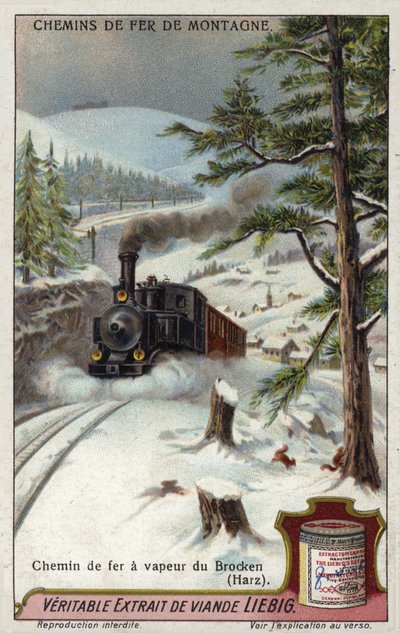 Stoomlocomotief op de Brocken Railway, Harzgebergte, Duitsland door European School